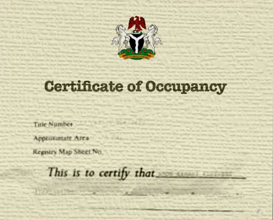 Certificate of Occupancy Preview